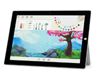 黔东南Surface 无法开启、Windows 无法启动或电池无法充电